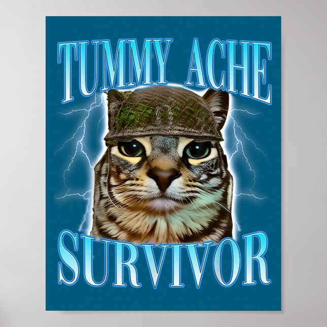 Funny Saying Cats Tummy Ache Survivor Cat Meme Hum Poster (Framsidan)