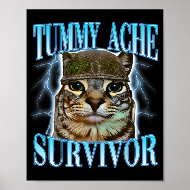 Funny Saying Cats Tummy Ache Survivor Cat Meme Hum Poster (Framsidan)