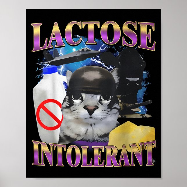 Funny Saying Lactose Intolerant Silly Cat Meme Cat Poster (Framsidan)