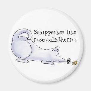 Funny Schipperke Hund Tecknad Magnet