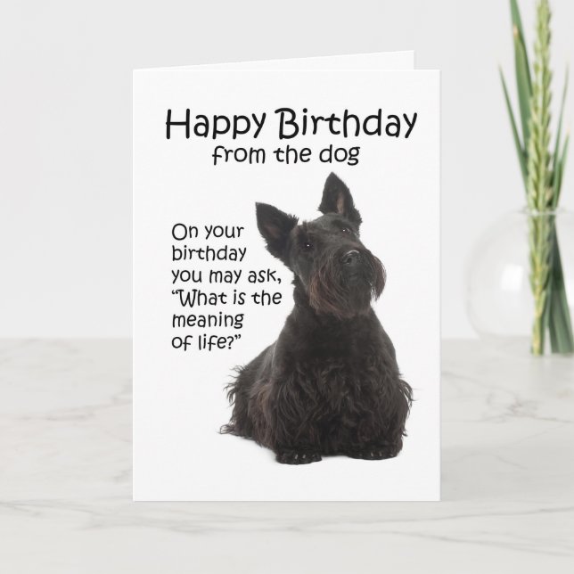 Funny Scottie Birthday Card Kort (Framsida)