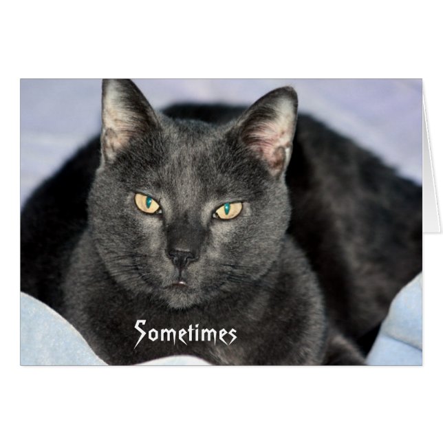 Funny Shake My Head Card Hälsningskort (Framsidan Horizontal)