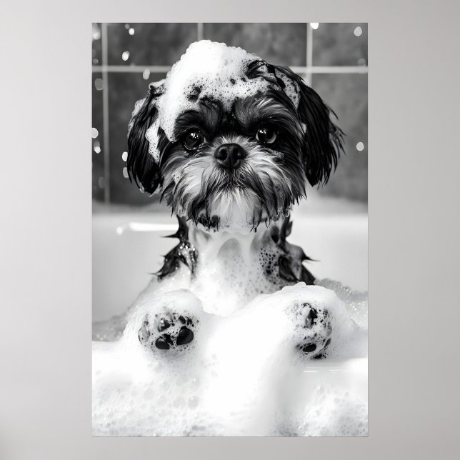 Funny Shih Tzu Bubble Bath Photograph, Dog Poster (Framsidan)