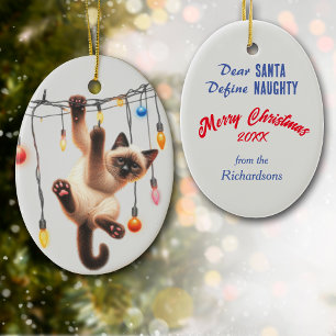 Funny Siamese Cat Define Naughty jul Julgransprydnad Keramik