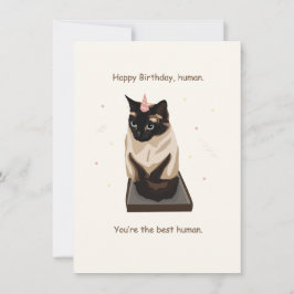 Funny Siamese Cat Grattis på födelsedagen Card Julkort
