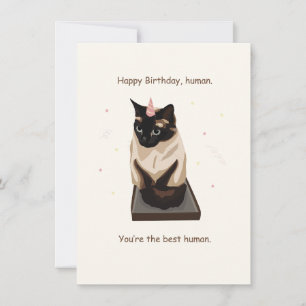 Funny Siamese Cat Grattis på födelsedagen Card Julkort