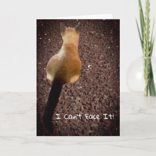 Funny Siamese Kitten Butt Photo Belet Birthday Kort