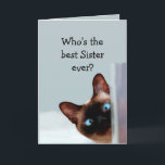 Funny Sister Birthday Önskemål Siamese Cat Kort<br><div class="desc">En fin syster Birthday Önskemål Siamese Cat Animal Humor.    Perfekt för syster i ditt liv med en känsla av humor,  en kärlek katter och en födelsedag</div>