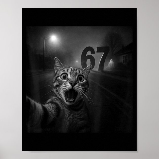 Funny Six Seven 6 7 Meme Gen Z Alpha Slang Cat Sel Poster (Framsidan)