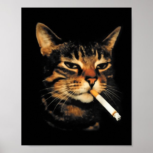 Funny Smoking Cat Cigarette Kitten Meme Stupid Bra Poster (Framsidan)