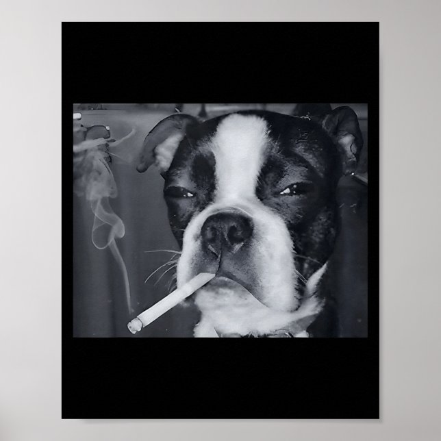 Funny Smoking Dog Meme Cigarette Gen Z Meme Dog Lo Poster (Framsidan)