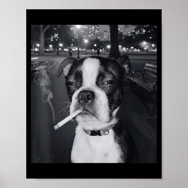 Funny Smoking Dog Meme Cigarette Gen Z Meme Dog Lo Poster (Framsidan)