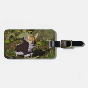 Funny Snyggt Dsed Chihuahua Puppy Bagagebricka
