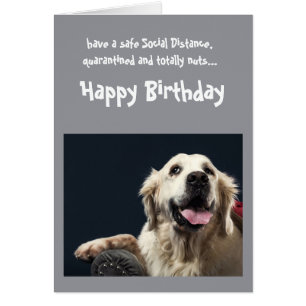 Funny Social Avstånd Birthday Golden Retriever Hälsningskort