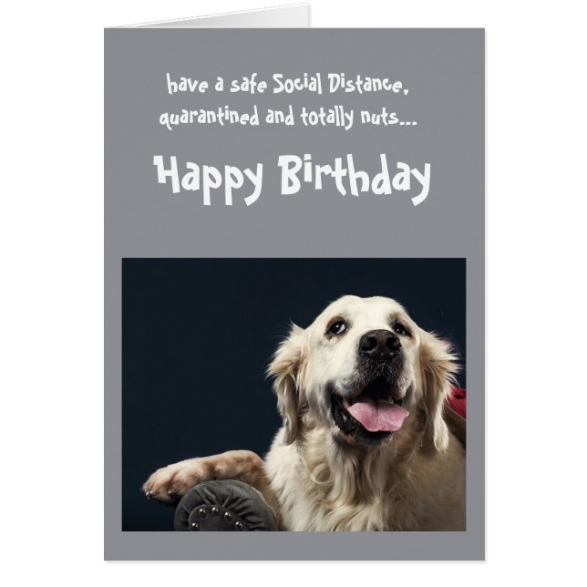 Funny Social Avstånd Birthday Golden Retriever Hälsningskort (Framsidan)