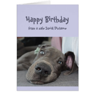 Funny Social Avstånd Birthday Great dane Hund Hälsningskort