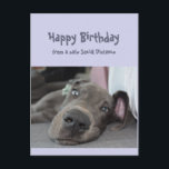 Funny Social Avstånd Birthday Great dane Hund Vykort<br><div class="desc">Lustigt Social som Avstånd födelsedagskort med en söt vila,  lägger sig runt,  gör ingenting Great dane Hund. Inverterad: Se till att du inte övergör partyeringen i år. Underbart kort för den speciella personen med en känsla av humor eller en som tycker om Great dane,  hundar och humor</div>