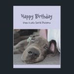 Funny Social Avstånd Birthday Great dane Hund Vykort<br><div class="desc">Lustigt Social som Avstånd födelsedagskort med en söt vila,  lägger sig runt,  gör ingenting Great dane Hund. Inverterad: Se till att du inte övergör partyeringen i år. Underbart kort för den speciella personen med en känsla av humor eller en som tycker om Great dane,  hundar och humor</div>