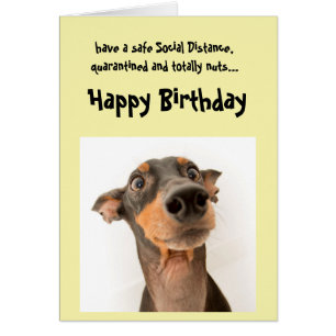 Funny Social Avstånd Birthday Mini Doberman Hund Hälsningskort