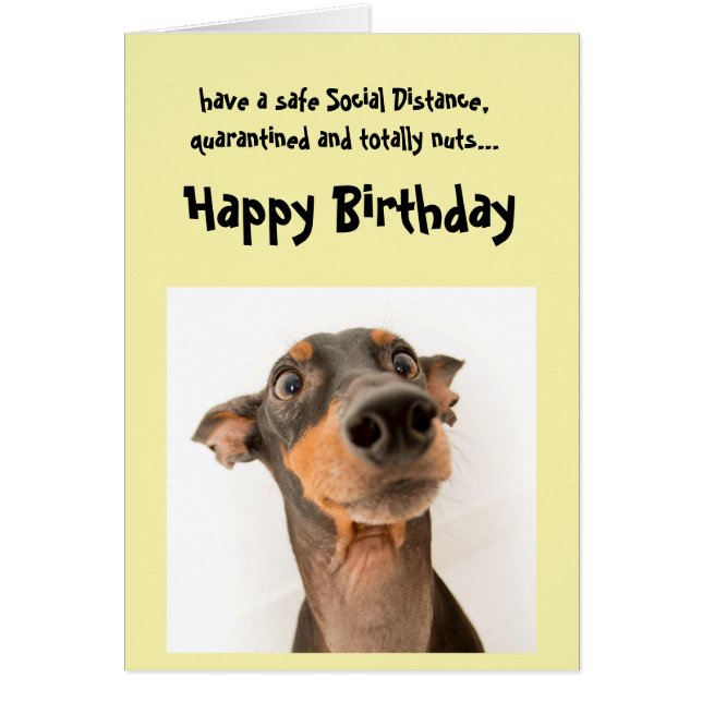 Funny Social Avstånd Birthday Mini Doberman Hund Hälsningskort (Framsidan)