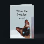 Funny Son Birthday Önskemål Siamese Cat Kort<br><div class="desc">Den unge Son Birthday Önskemål Siamese Cat Animal Humor du är uppe.   Perfekt för den där sonen i ditt liv med en känsla av humor,  en kärlek katter och en födelsedag</div>
