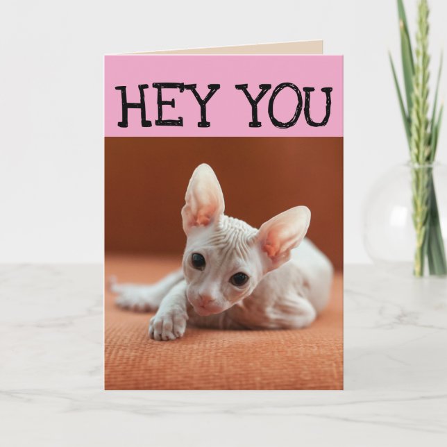 FUNNY SPHYNX CAT BIRTHDAY GREETY CARDS KORT (Framsida)