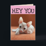 FUNNY SPHYNX CAT BIRTHDAY GREETY CARDS KORT<br><div class="desc">FUNNY HAIRLESS CAT BIRTHDAY CARD</div>
