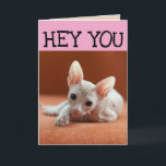 FUNNY SPHYNX CAT BIRTHDAY GREETY CARDS KORT<br><div class="desc">FUNNY HAIRLESS CAT BIRTHDAY CARD</div>