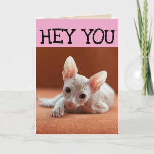 FUNNY SPHYNX CAT BIRTHDAY GREETY CARDS KORT