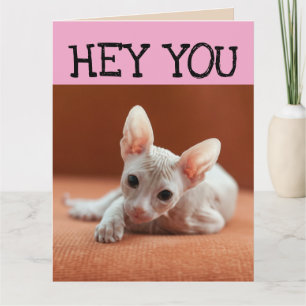 FUNNY SPHYNX CAT BIRTHDAY GREETY CARDS KORT