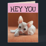 FUNNY SPHYNX CAT BIRTHDAY GREETY CARDS KORT<br><div class="desc">FUNNY HAIRLESS CAT BIRTHDAY CARD</div>