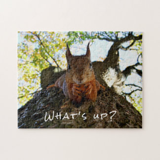Funny Squirrel Cute Animals Hello There What's Up Pussel