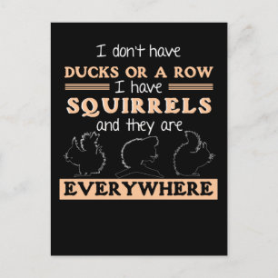 Funny Squirrel Garden Humor Squirrels Joke Vykort