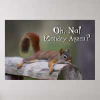 Funny Squirrel