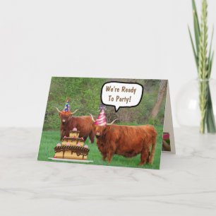 Funny Steer och Cake Birthday Kort