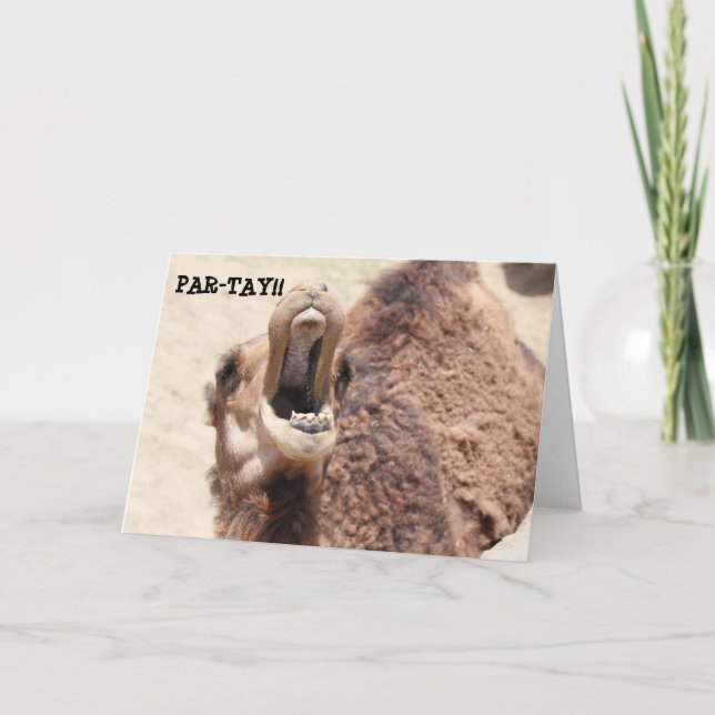 Funny Studenten Card, Party Camel Kort (Framsida)