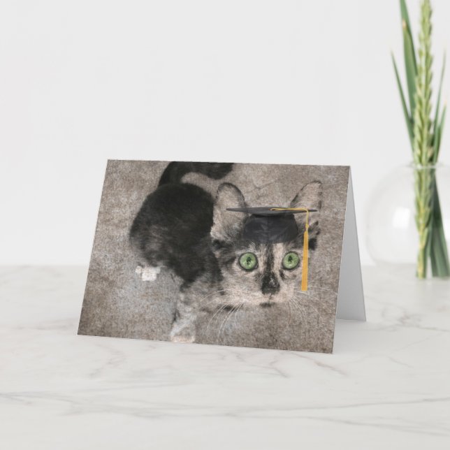 Funny Studenten, Wide Eyed Kitten Kort (Framsida)