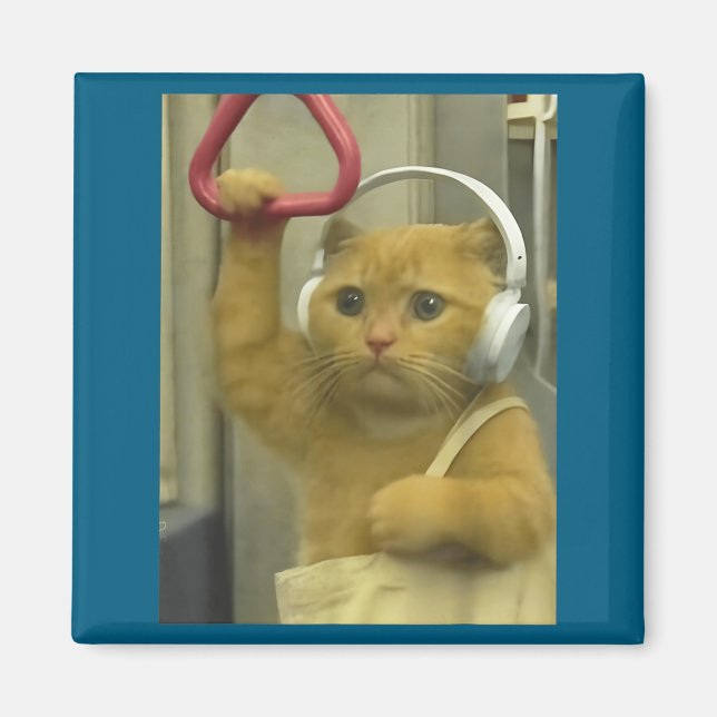 Funny Subway Cat Meme Stud Brainrot Cats Humor Kit Magnet (Framsidan)