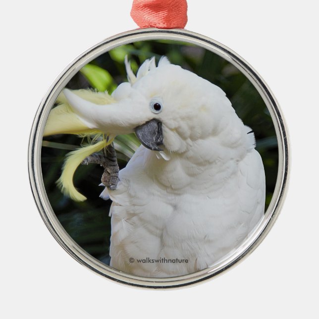 Funny Sulfur-Crested Cockatoo Parrot Bird Vinkarar Julgransprydnad Metall (Framsidan)