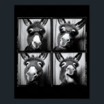 Funny Sungles  Poster<br><div class="desc">Funny Sungles</div>