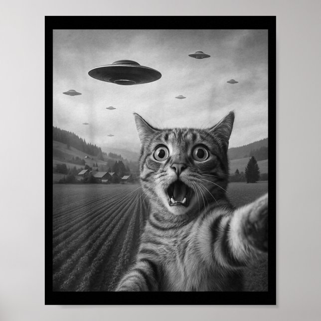 Funny Surprised Ed Cat Selfie With Alien Ufo Cat U Poster (Framsidan)
