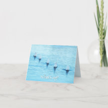 Funny Svanar What's Up Tillfällen Blank