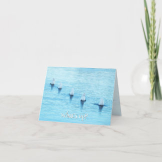 Funny Svanar What's Up Tillfällen Blank Helgkort