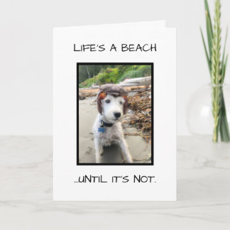 FUNNY SYMPATHY CARD KORT