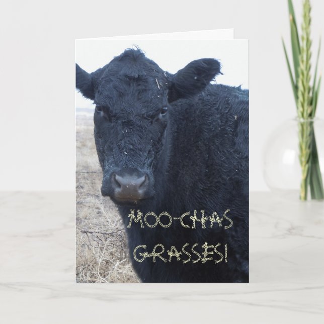 Funny Tack Cute Black Cattle Cow (Framsida)