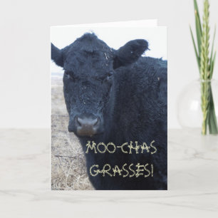 Funny Tack Cute Black Cattle Cow Kort