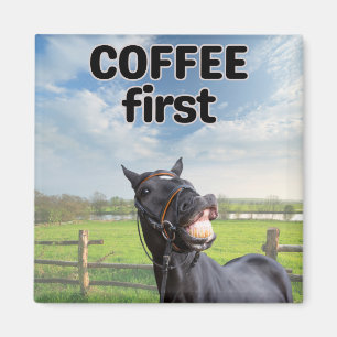 Funny Talking Horse Humor Magnet