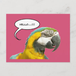 Funny Talking Parrot Hej Postcard Vykort