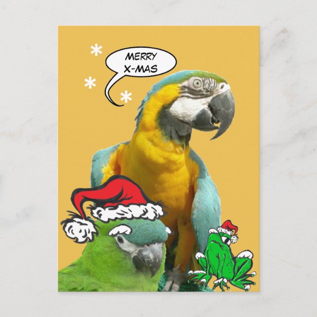 Funny Talking Parrot Merry X-Mas Postcard Vykort (Framsida)