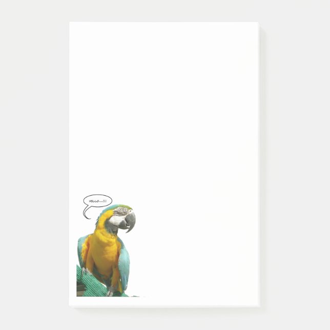 Funny Talking Parrot Notes Post-it Block (Framsida)